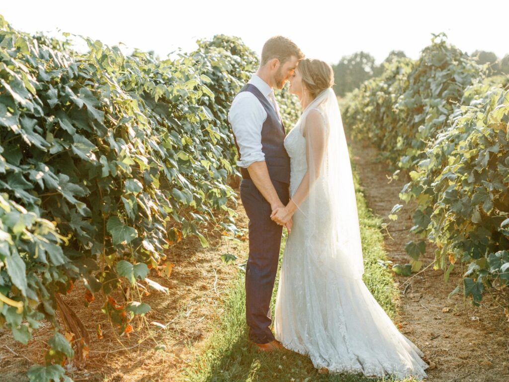 Bride and groom standing together in a vineyard during a summer wedding in Michigan